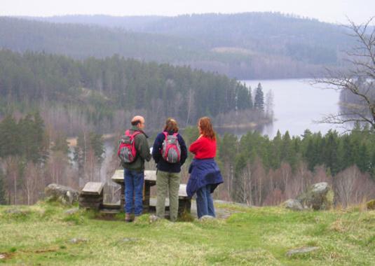 Bjorkfors Kajak & Hostel Exteriér fotografie